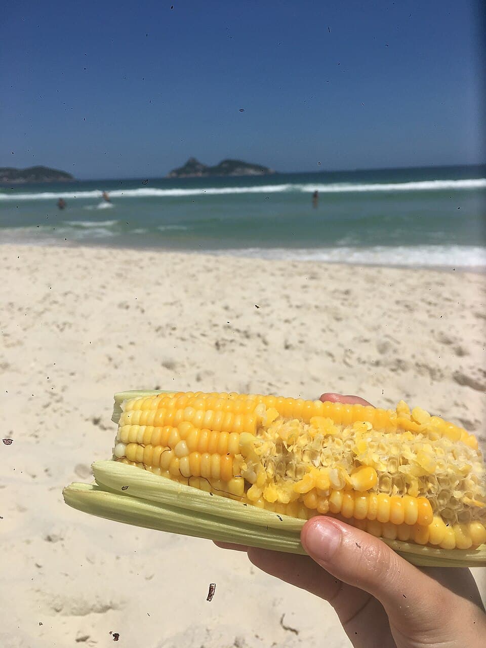 Кукуруза