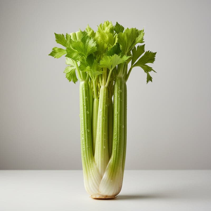 Celery: calories and macros per 100 g