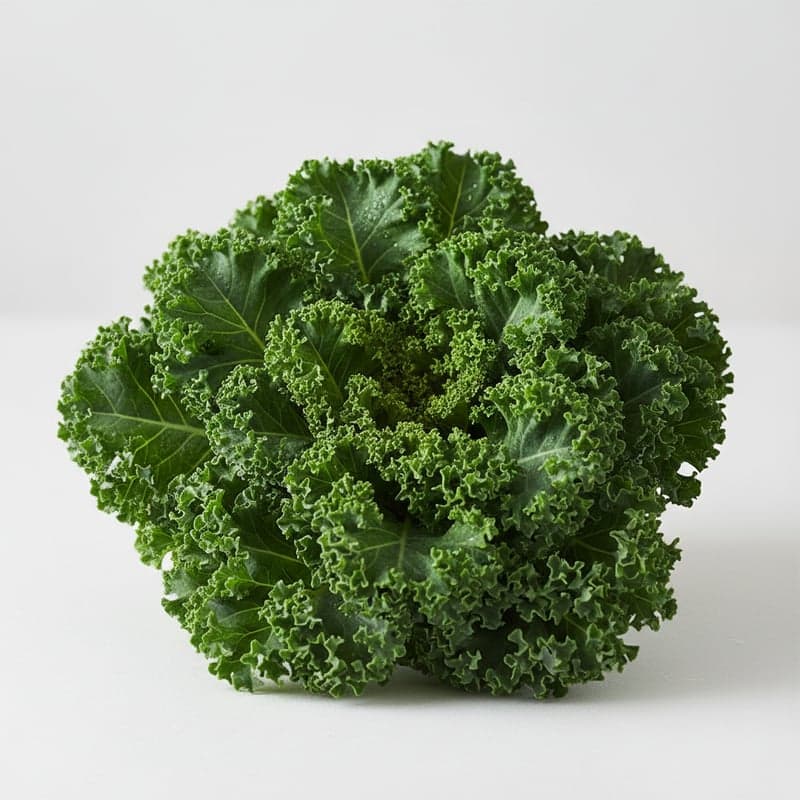 Kale: calories and macros per 100 g