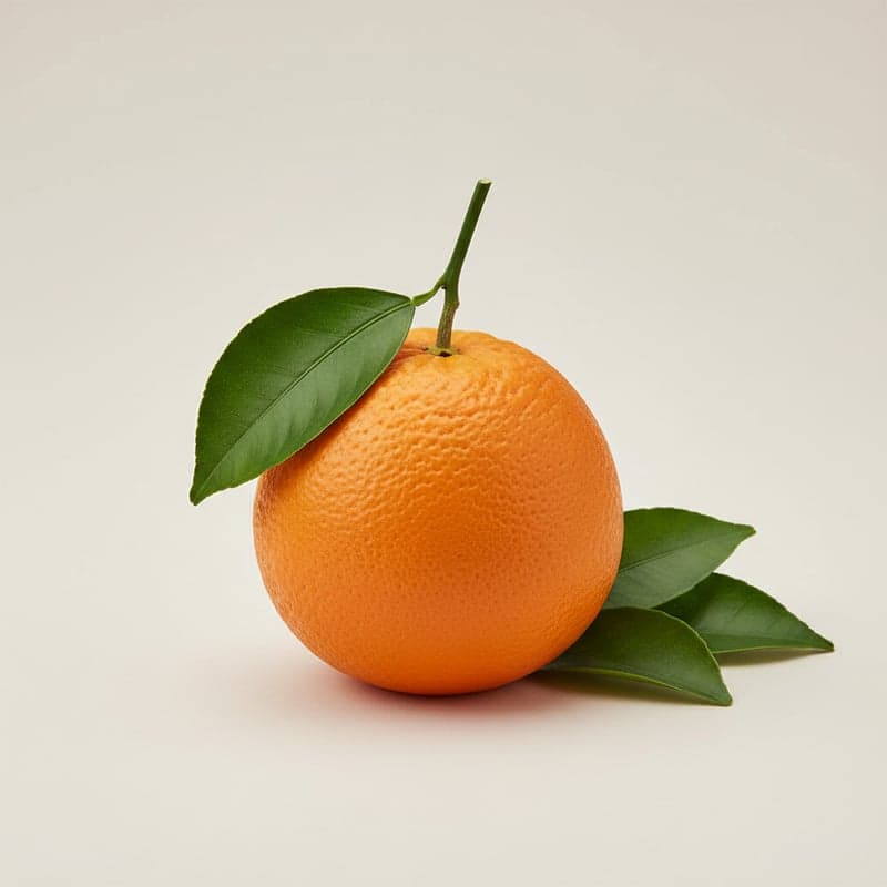 Orange: Kalorien und Makros pro 100 g